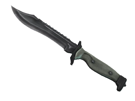 Bowie Knife