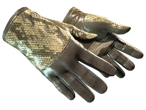 ★ Driver Gloves | Diamondback