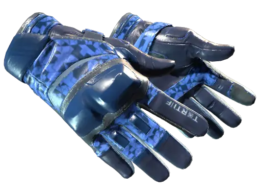 ★ Moto Gloves | Polygon