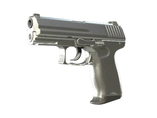 P2000 | Silver
