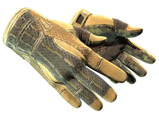 ★ Sport Gloves | Arid