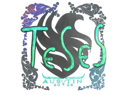 Sticker | TeSeS (Holo) | Austin 2025