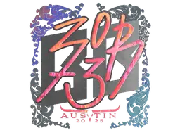 Sticker | zorte (Holo) | Austin 2025